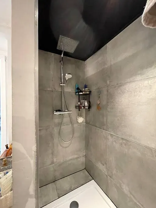 Appartement Cosy Centre Grenoble Apartment