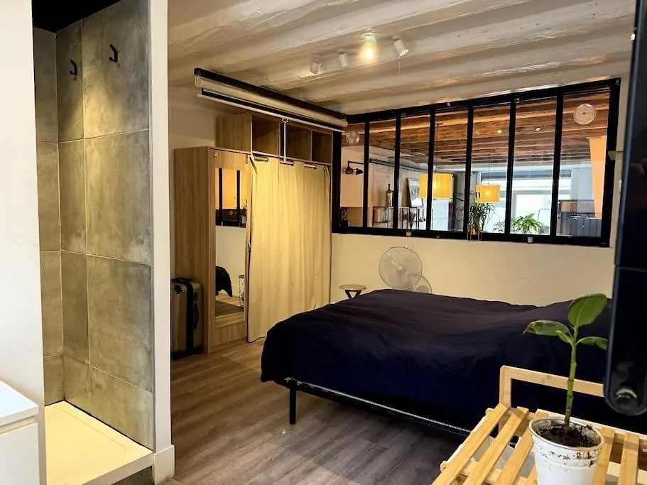 Appartement Cosy Centre Grenoble