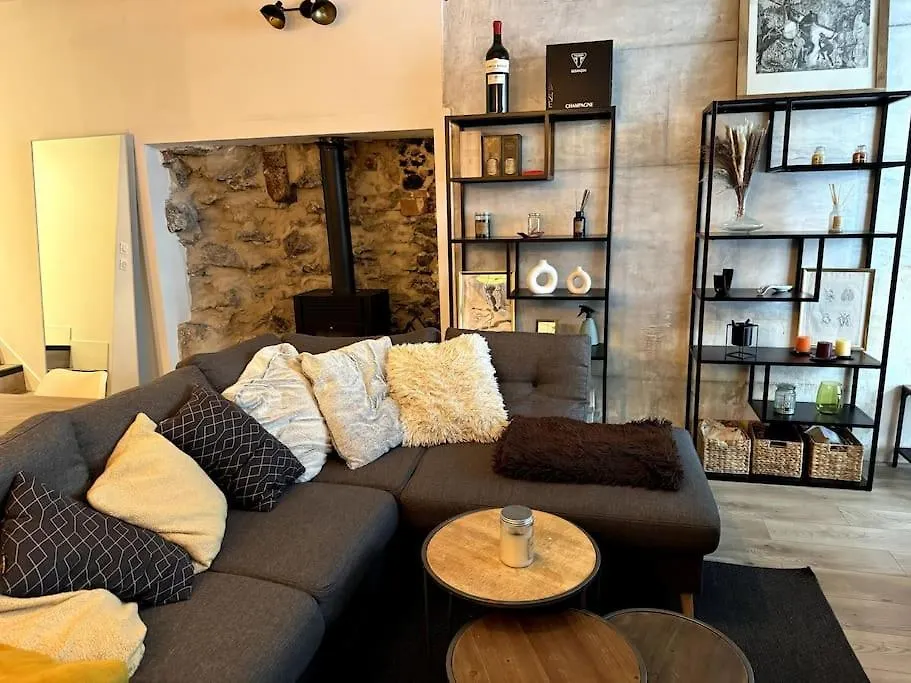Appartement Cosy Centre Grenoble Apartment