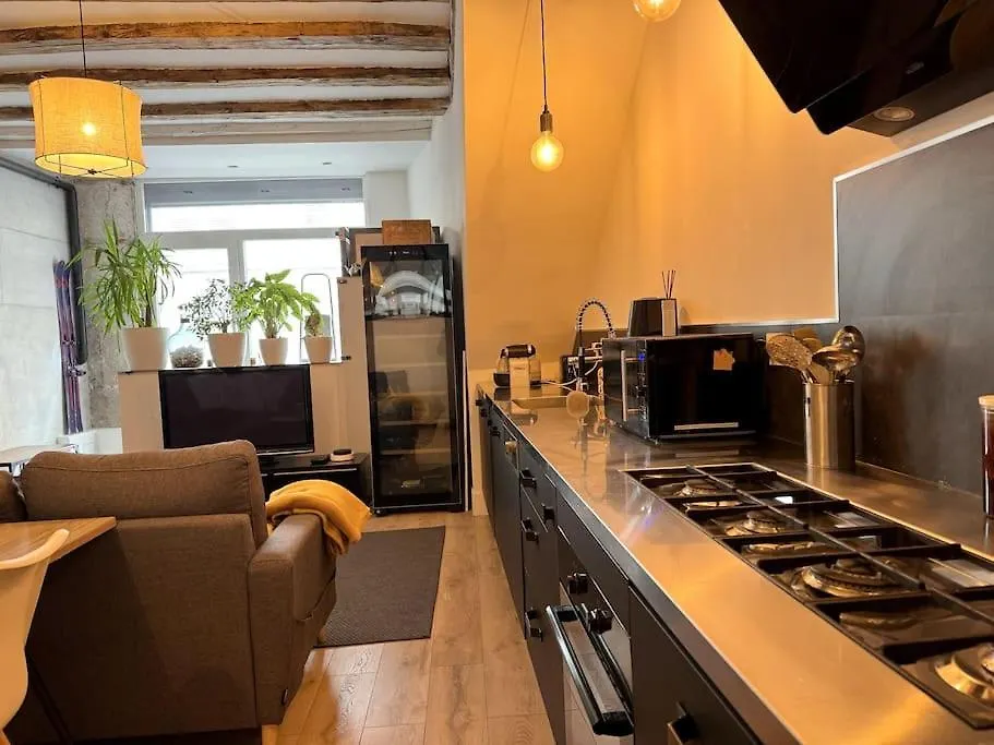 Appartement Cosy Centre Grenoble France