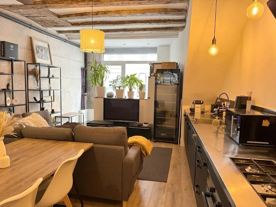 Apartment Appartement Cosy Centre Grenoble