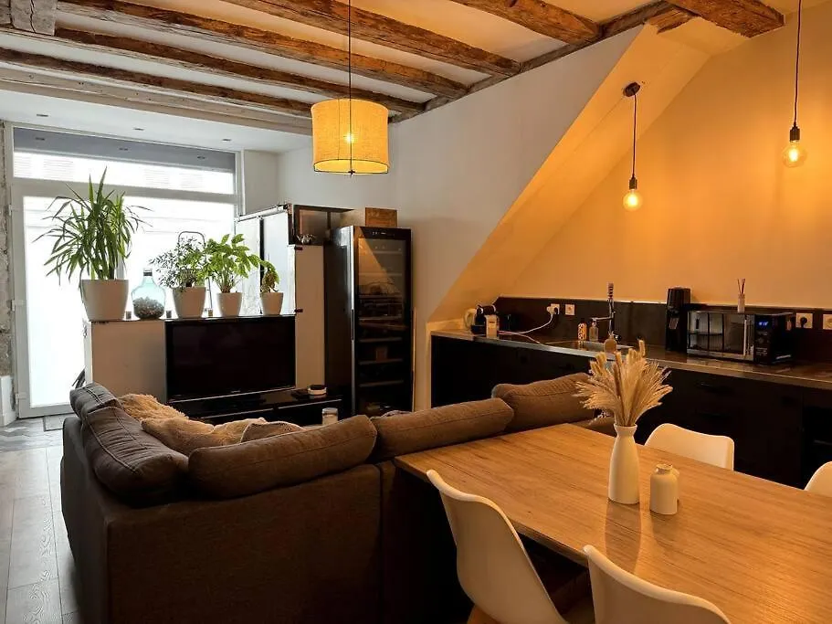 Appartement Cosy Centre Grenoble 0*,
