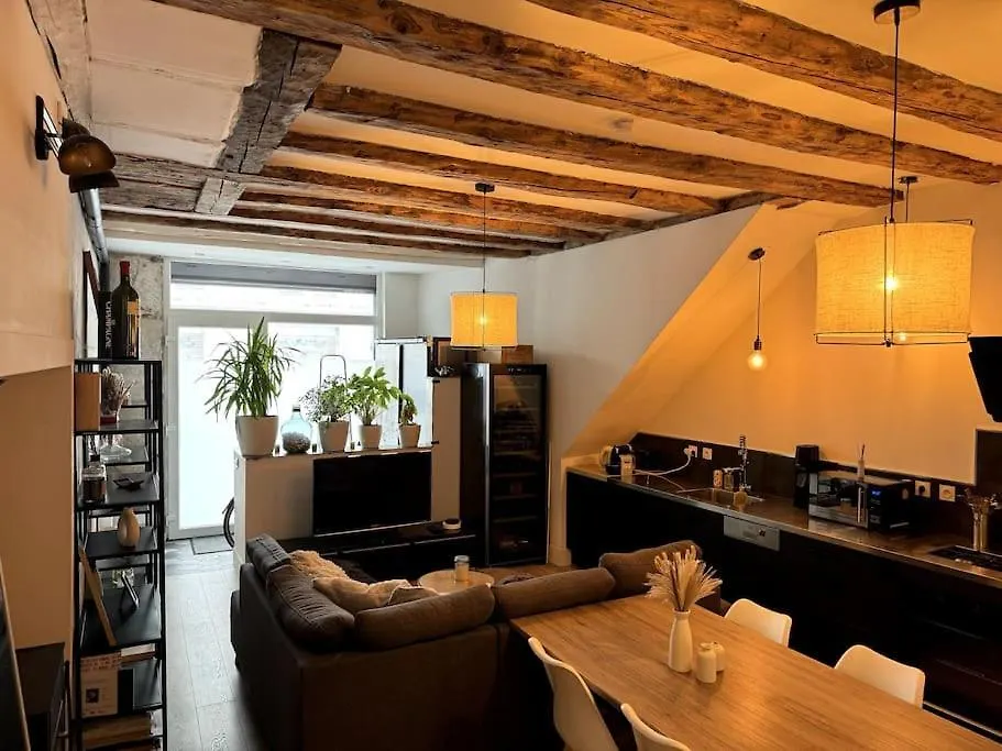 Appartement Cosy Centre Grenoble Apartment